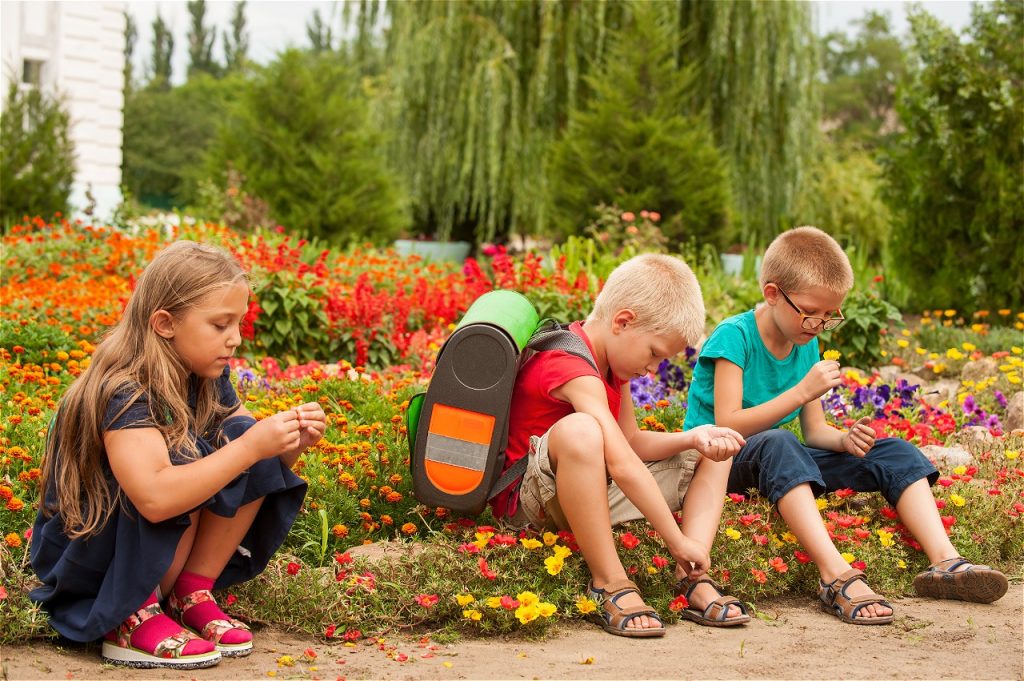 Emotional intelligence in kids
