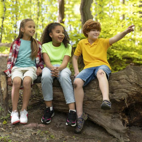 2024 Summer Camp Activities to Empower Your Childrens Skills